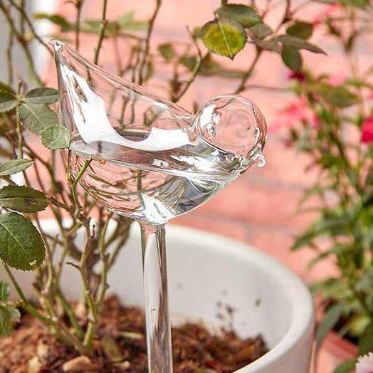 2 Peças de Auto-Regador para Plantas